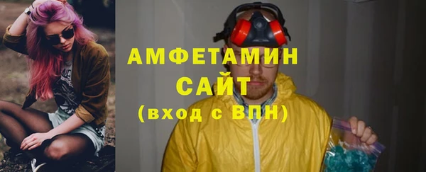 прущие грибы Горняк